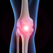knee image